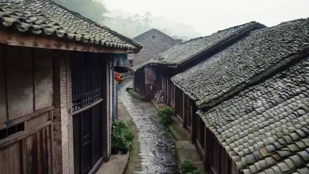 血脂高如何改善？游戏画面
